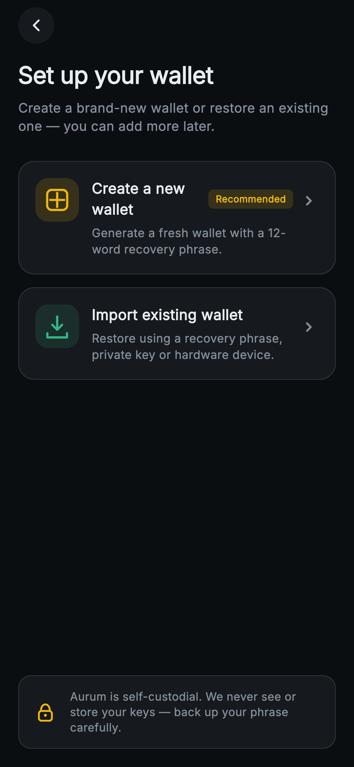 Aurum · Create or Import — Web3 Flutter UI screen